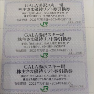 JR東日本優待券 ガーラ 湯沢 スキー場リフト20%割引券4名様送料込み120円（その他人数分も出品しております）