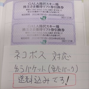 24枚！JR東日本優待券のガーラ湯沢リフト20%割引券24名様まで280円（ネコポス対応送料込み）その他枚数も出品しております。即日投函