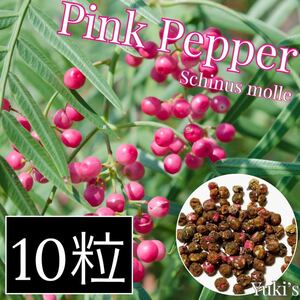 ピンク・ペッパー 種子x10[耐寒性スパイスの木] Schinus molle