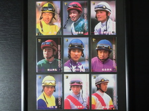 ★ 2000 LEADING JOCKEY ★ リーディングジョッキー ★ 武豊 四位洋文 横山典弘 福永祐一 他全9種★ BANDAI 2001 サラブレッドカード