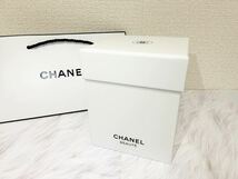 ★新品 未使用★非売品★ CHANEL シャネル スノードーム VIP限定 クリスマス限定 ノベルティ クリスマス snow globe 2021年 インテリア_画像6