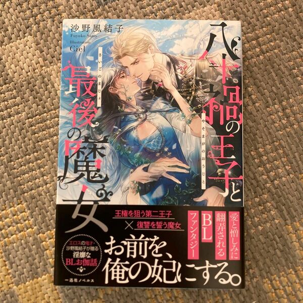 八十禍の王子と最後の魔女 （一迅社ノベルス） 沙野風結子／著