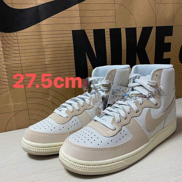 27.5cm NIKE TERMINATOR HIGH BT