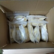 冷凍ヒヨコ 100羽 ◇ 送料着払い(送料は説明文に記載あり) ありがとうございます 結構売れてます！_画像1