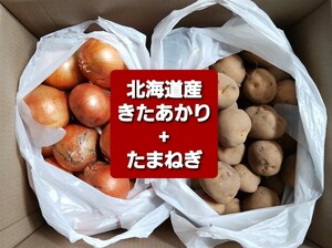 北海道産ジャガイモ【キタアカリ】訳あり品＋玉ねぎ 約１０キロ