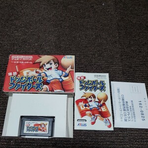 爆熱ドッジボールファイターズ ゲームボーイアドバンス GBA