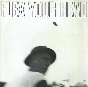 A00575100/LP/マイナー・スレット / ユース・ブリゲイド / ティーン・アイドルズ etc「Flex Your Head (1982年・DISCHORD RECORDS-NO.7・