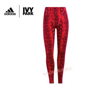 新品未使用 アディダス × IVY PARK タイツ【M】定価9091円 ビヨンセ 着用 IVYPARK アイビーパーク adidas スポーツ ジム 9822 スパッツ