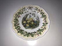 ロイヤルドルトン ブランブリーヘッジ プレート 20cm SPRING★ROYAL DOULTON★BRAMBLY HEDGE★英国陶磁器★皿 PLATE スプリング 春_画像4