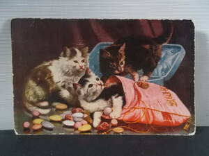 N１４２　戦前 希少 古 絵葉書 絵はがき えはがき ポストカード 郵便はがき 古写真 日本　かわいい　猫　子どもねこ　カラー
