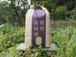 【無農薬米・有機肥料「ぴかまる」白米10kg】もちもち柔らか 2023年兵庫県産「タガメの里・自然米」