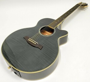 リペアマンの調整した初心者向けギターシリーズ 3本目 Ibanez AEG20E-TG エレアコ