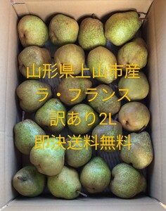 限定6箱 山形県上山産 即決送料込ワケあり 西洋梨ラ・フランス2L玉約5キロ前後、約22玉前後 送料無料 ラフランス自家用山形県産 農家直送便