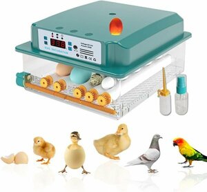  automatic . egg vessel in kyu Beta -. temperature vessel birds exclusive use . egg vessel .. vessel automatic rotation egg type a Hill chicken egg a Hill .... temperature .. vessel full automation 6-16 piece. egg 