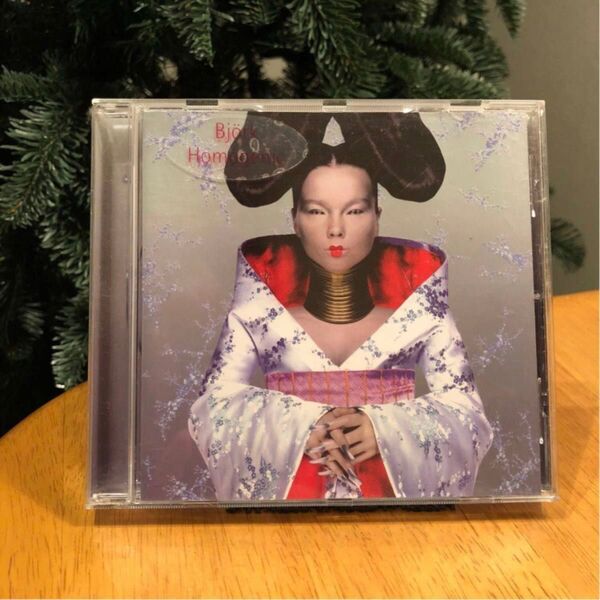 bjork homogenic