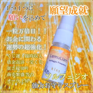 残り限定2点☆ 一粒万倍日×金運上昇の強化オーラ!貧乏縁切りも併せて豊かな人生へ!お守り