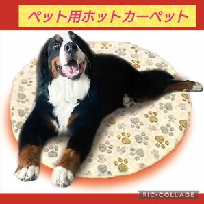 ペット用ホットカーペット 防水フリースカバー ペットヒーター ホットカーペット 布団 洗える タオル 犬 猫 兼用 毛布 716