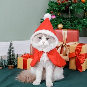 クリスマス 犬 猫 服 サンタクロース仮装 秋冬用 トイプードル 小型犬 衣装 サンタ ペット 厚いドレスかわいい子犬ホリ