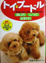 トイ・プードル/飼い方 しつけ お手入れ■小板橋祥/西川文二■西東社/2011年/初版_画像1