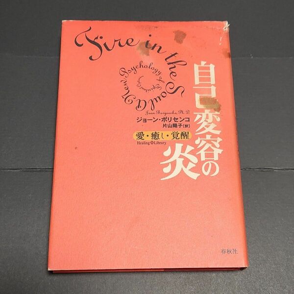 自己変容の炎 : 愛・癒し・覚醒