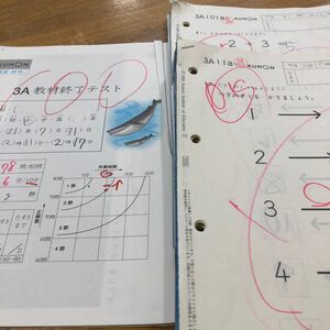 くもん　公文　算数　数学　3A 11-200 合計190枚　3A教材終了テスト付き