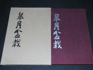 ｓ■皐月盆栽 日本さつき文化振興会/昭和49年初版