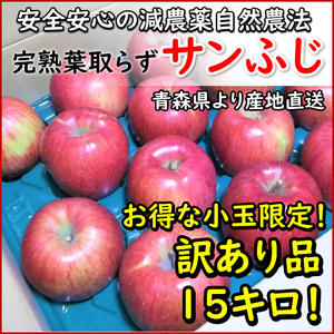 【お得な小玉限定訳あり品15キロ】生食用「青森のサンふじ」安心安全の減農薬●青森産完熟りんご！残留農薬検出なし！皮ごとでも安心！限定