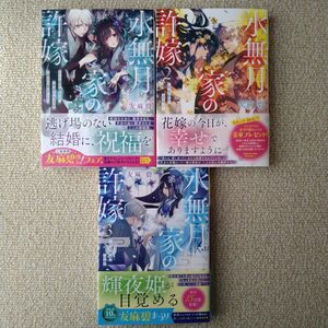 小説 初版 セット 水無月家の許嫁 1巻 十六歳の誕生日、本家の当主が迎えに来ました。 2巻 輝夜姫の恋煩い 3巻 天女降臨の地