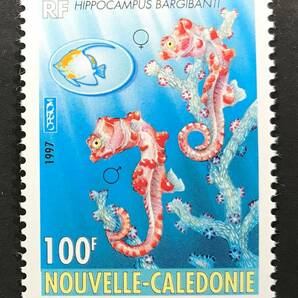 ニューカレドニア 1997年発行 タツノオトシゴ 海の生物 切手 未使用 NHの画像1
