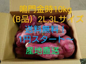 【送料無料！1円スタート〜】さつまいも鳴門金時10kg（B品）2L,3Lサイズ a