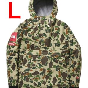 【おまけあり】10SS Supreme x The North Face Expedition Pullover camo