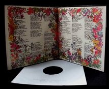 ●US-A&M Recordsオリジナル””w/Brown-Labels,STERLING LH!! Sandy Denny/ Sandy_画像7