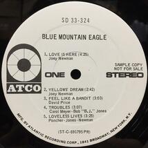 BLUE MOUNTAIN EAGLE / BLUE MOUNTAIN EAGLE (US-ORIGINAL)_画像7