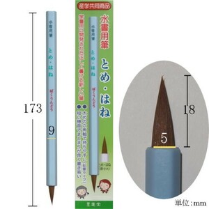 書道筆 水書き 墨運堂 水書用筆 とめ・はね 産学協同商品「メール便対応可」(22960)水かき筆