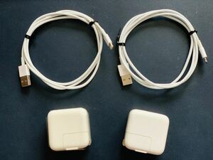 美品2個セット Apple 12W USB Power Adapter ライトニング充電ケーブル付き MD836LL/A A1401 