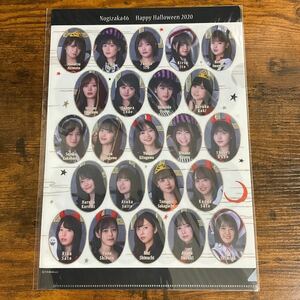 新品未開封 乃木坂46 秋元真夏 生田絵梨花 梅澤美波 遠藤さくら 賀喜遥香 久保史緒里 齋藤飛鳥 新内眞衣 山下美月 与田祐希 クリアファイル