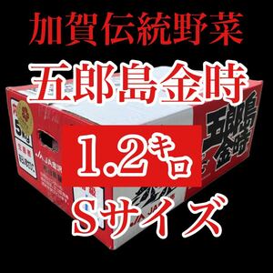 石川県産　加賀伝統野菜　五郎島金時　箱込み1.2キロ弱　約5本から8本　送料無料