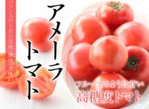 ギフトに最適 高糖度トマト アメーラ フルーツトマト 20玉から28玉入り_画像2