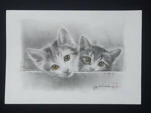 Art hand Auction 正版作品, 白井真澄, 铅笔画, 炭笔画, 绘画, 动物画, 猫, 亲笔签名, 艺术品, 绘画, 铅笔画, 炭笔画