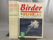 0F2C2　BIRDER/バーダー　2001年 揃い12冊セット　カモメ/カイツブリ/トキ/シロハヤブサ/フクロウ　文一総合出版_画像1