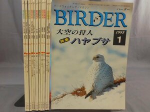 0F2C6　BIRDER/バーダー　1995年 揃い12冊セット　ハヤブサ/メグロ/スズメ/カモ　文一総合出版