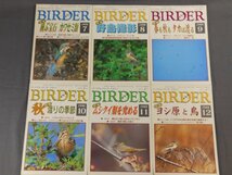 0F2D9　BIRDER/バーダー　1998年 揃い12冊セット　ホオジロ/カッコウ/カワセミ/ムシクイ/　文一総合出版_画像3