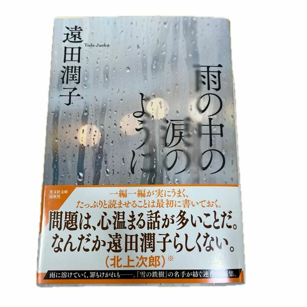 雨の中の涙のように （光文社文庫　と２２－５） 遠田潤子／著