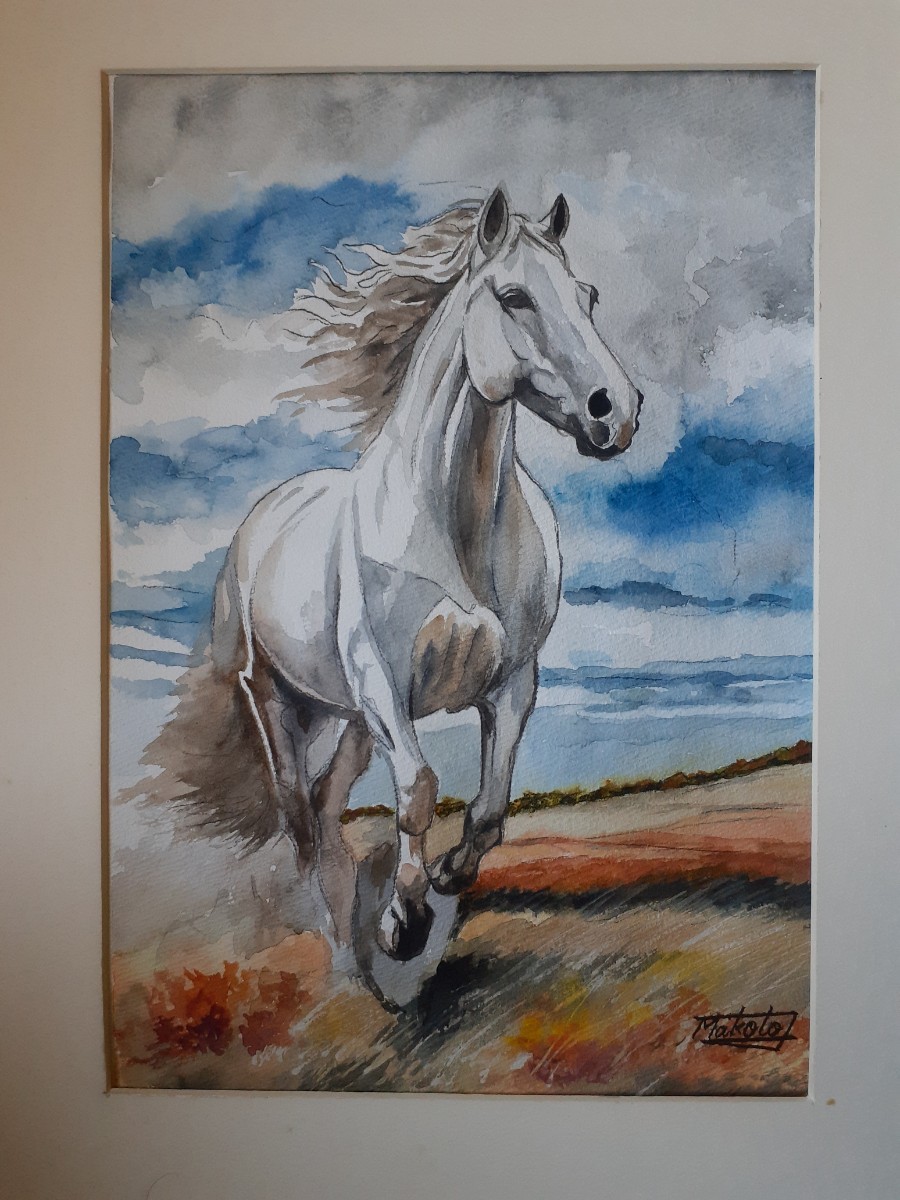 Watercolor painting: White horse galloping through the grassland, Painting, watercolor, Animal paintings