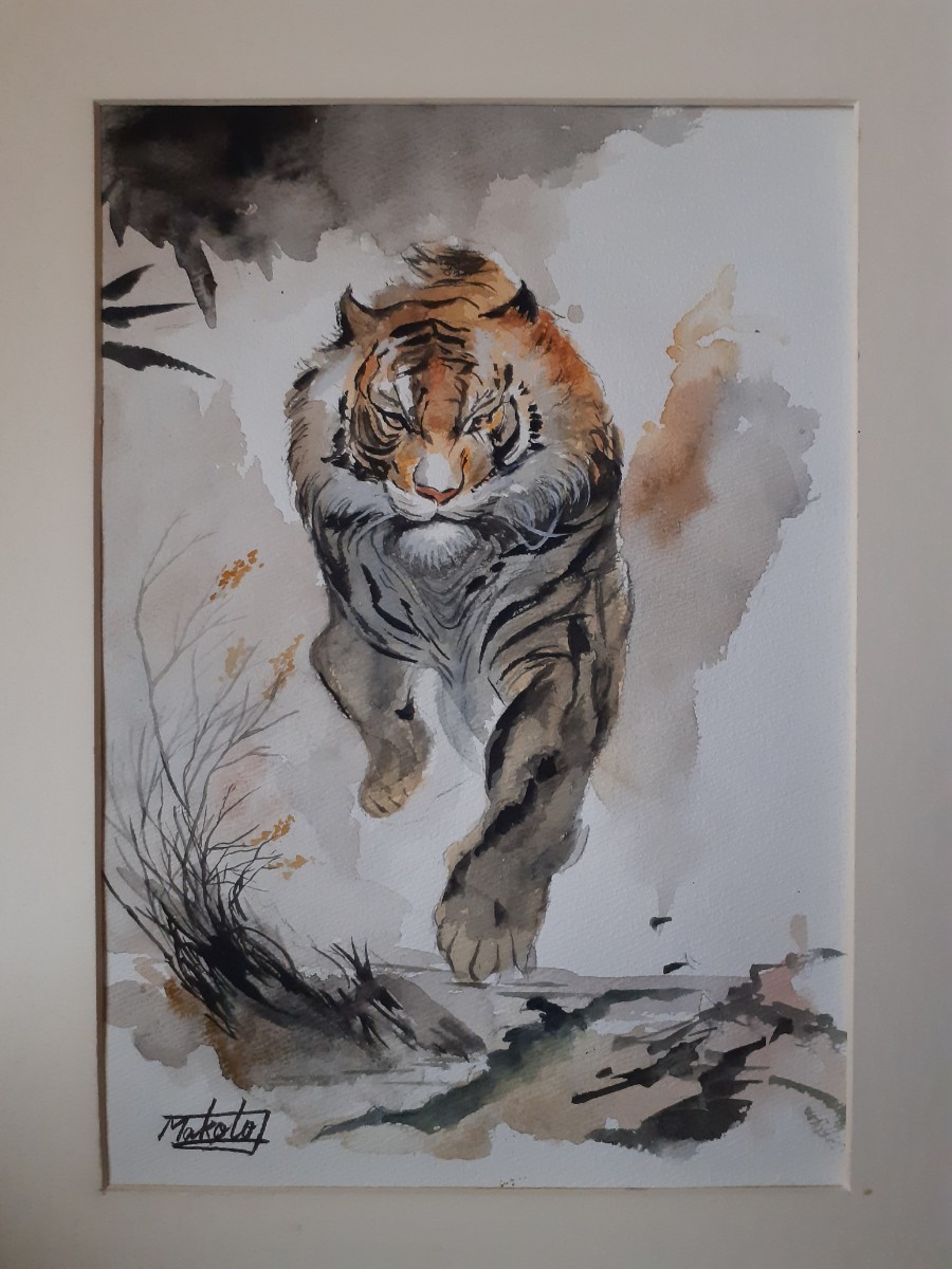 Peinture aquarelle chargeant le tigre, peinture, aquarelle, dessin d'animaux