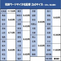 スタジオ ノイ フロア照明 ◆ 直径270×高さ1730ｍm 2016年製 ブラック/黒 ◆ Studio NOI_画像10