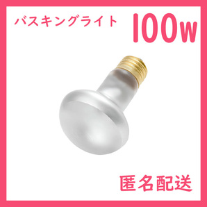 100W★バスキングライト1個(爬虫類ライト)タイトビームB0061