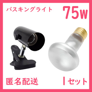  reptiles light [75W bus King light ] tight beam S0031