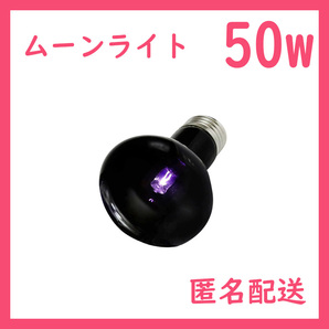 50W★ムーンライト1個(爬虫類ライト)ナイトグローB0121