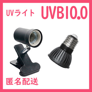 爬虫類ライト【小型UVLED紫外線ライト UVB10.0】　 S0121